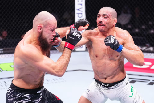 MMA 2026