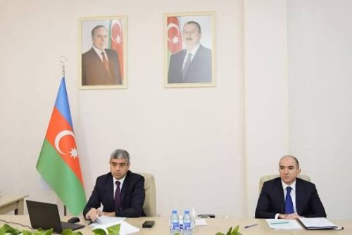 Son dövrlərdə əlillik təyinatına əsas verən xəstəliklər hansılardır?